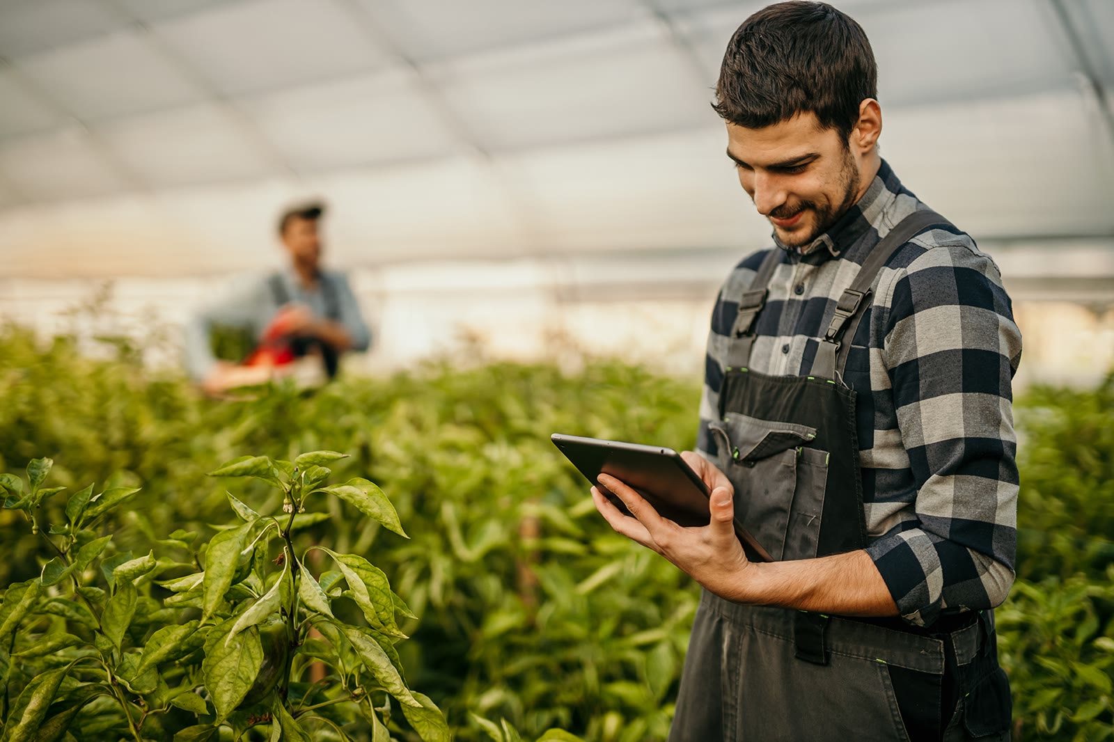 Agriculture & Agri-Tech