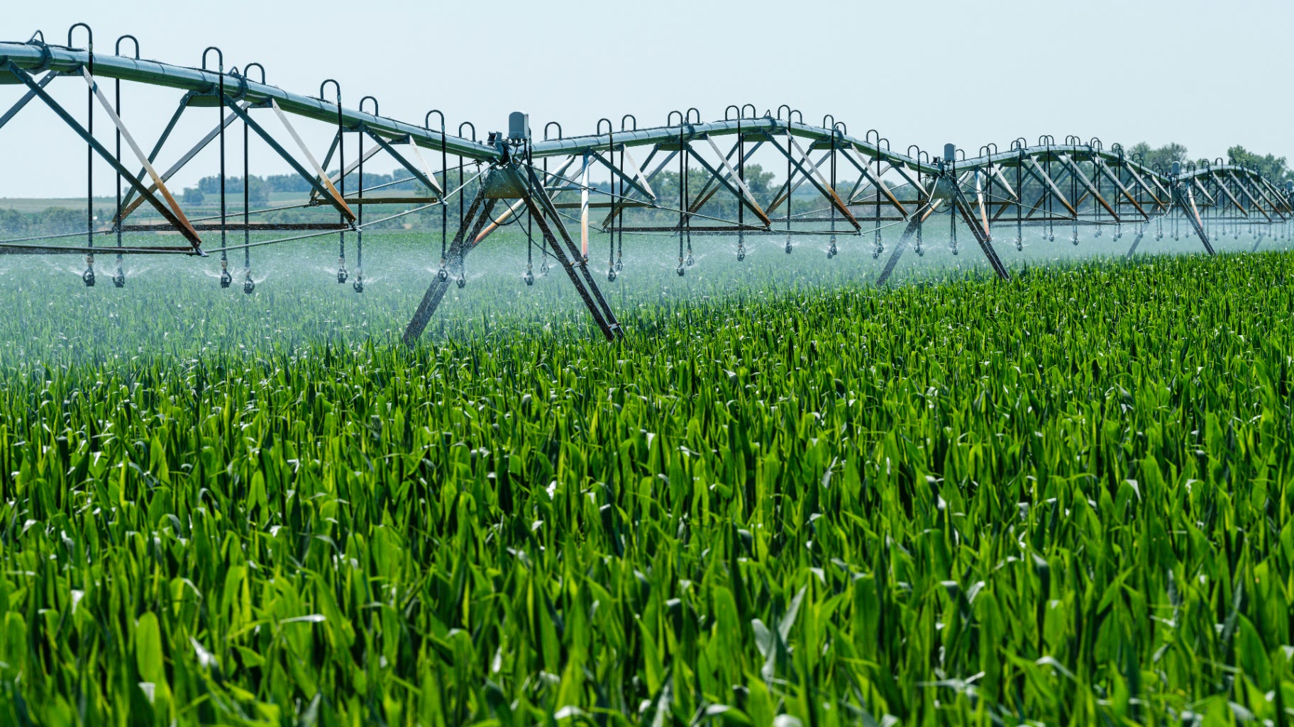 Irrigation intelligence